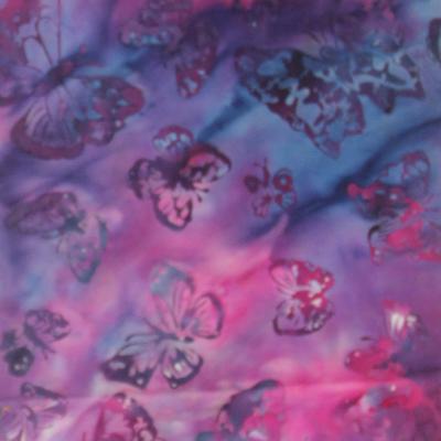Butterfly31