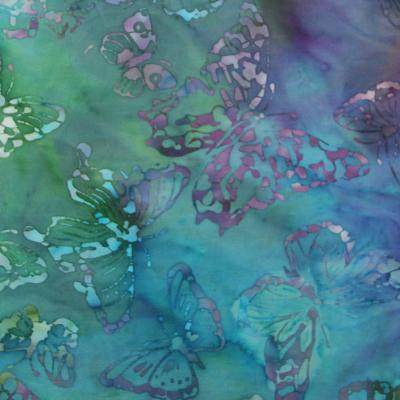 Butterfly61