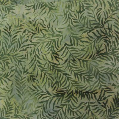 Fern2