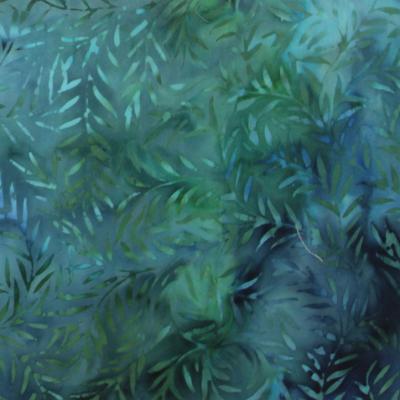 Fern5aa